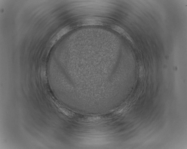 X0000073740882200608241319