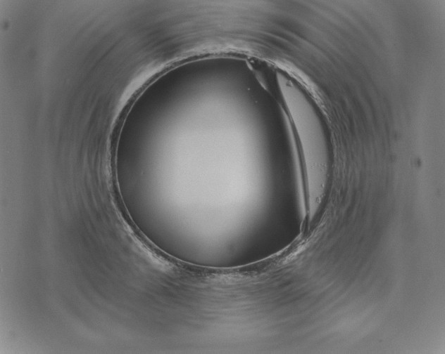 X0000073740894200608241319