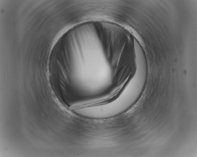 X0000073740904200608241319