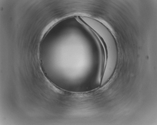 X0000073740910200608241319