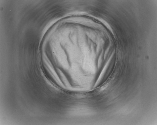 X0000073740911200608241319