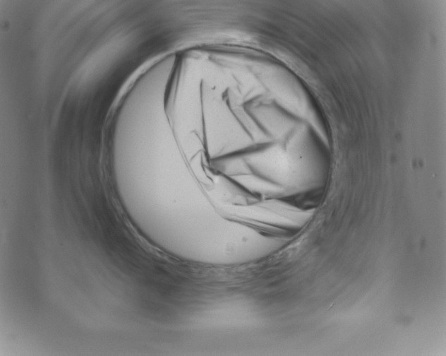 X0000073740912200608241319
