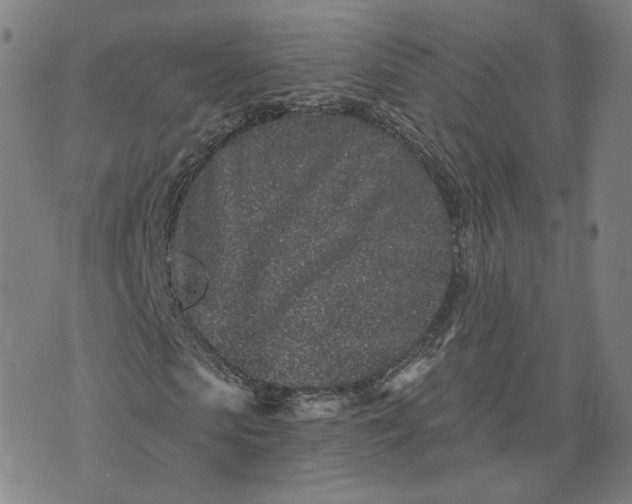 X0000073740913200608241318