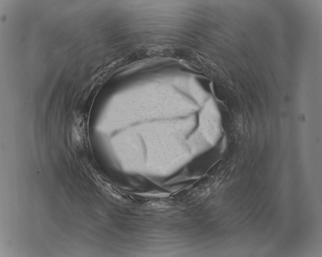 X0000073740914200608241318