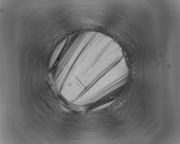 X0000073740916200608241318
