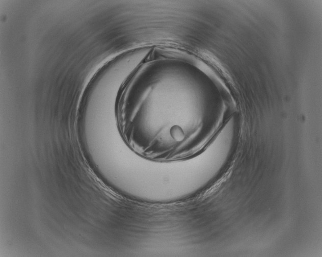 X0000073740924200608241318
