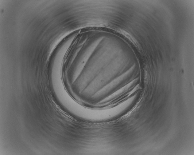 X0000073740926200608241318