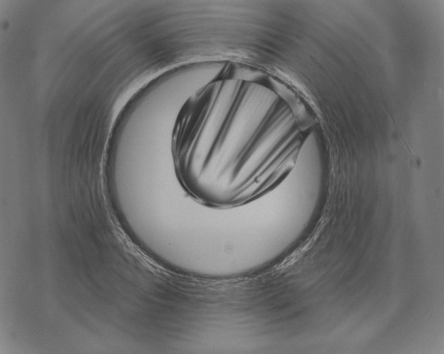 X0000073740928200608241318