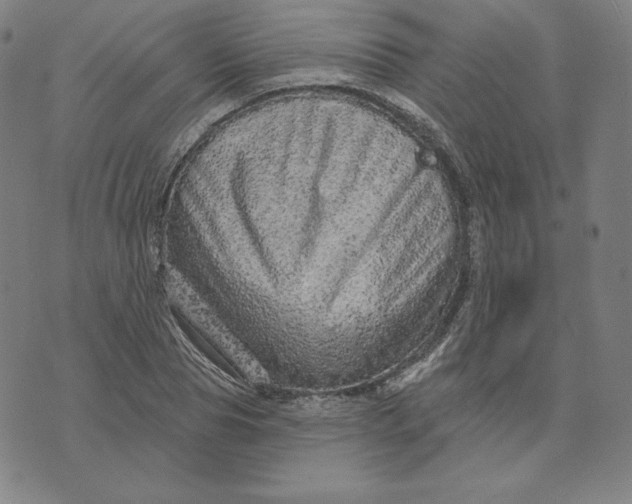 X0000073740929200608241318