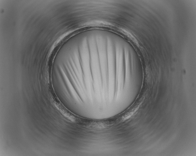 X0000073740931200608241318