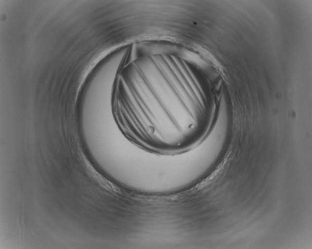 X0000073740934200608241318