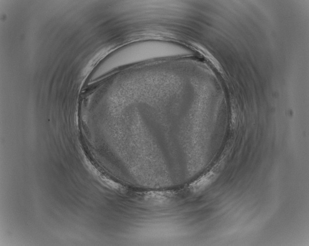 X0000073740938200608241318