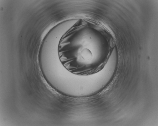 X0000073740944200608241318