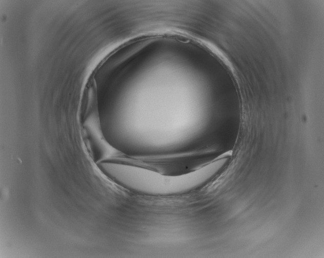 X0000073740951200608241319