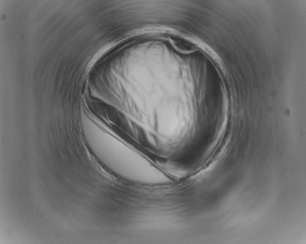 X0000073740953200608241319