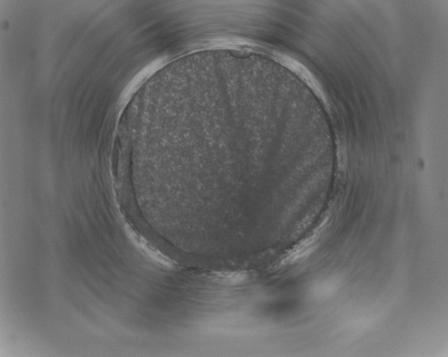X0000073740954200608241319