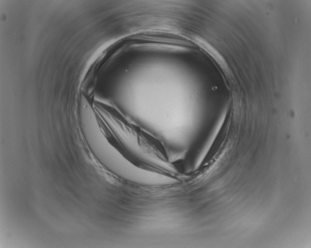X0000073740956200608241319