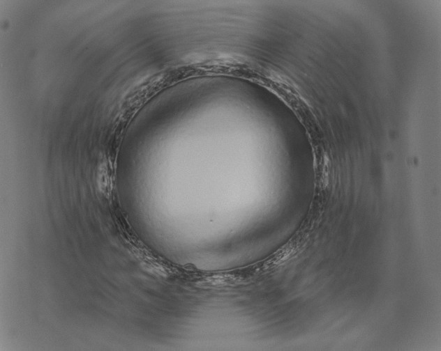 X0000073740966200608241318