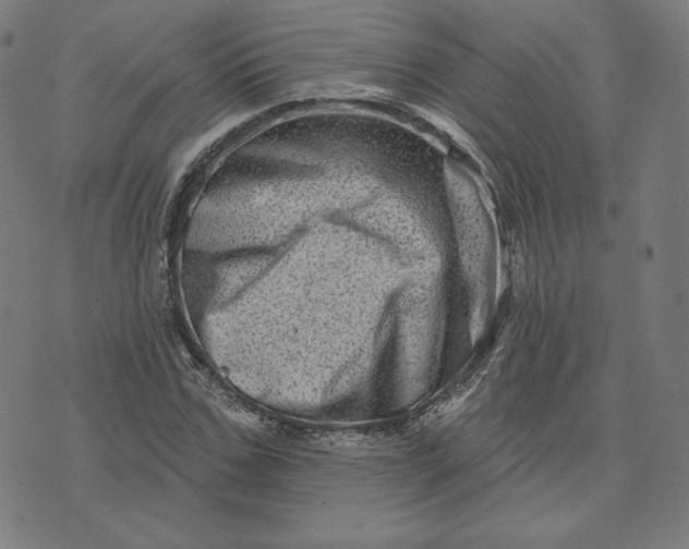X0000073740971200608241318