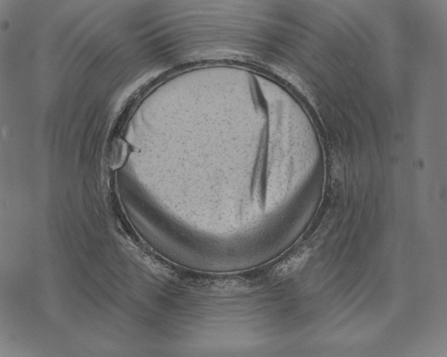 X0000073740979200608241318