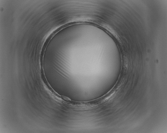 X0000073740980200608241318