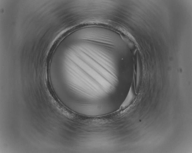 X0000073740984200608241318
