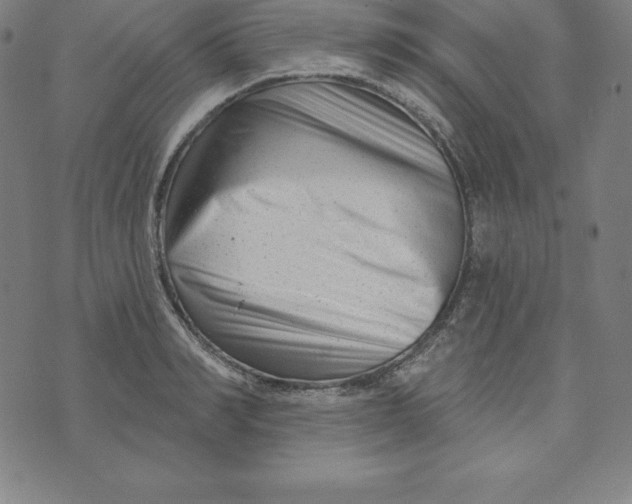 X0000073740990200608241317
