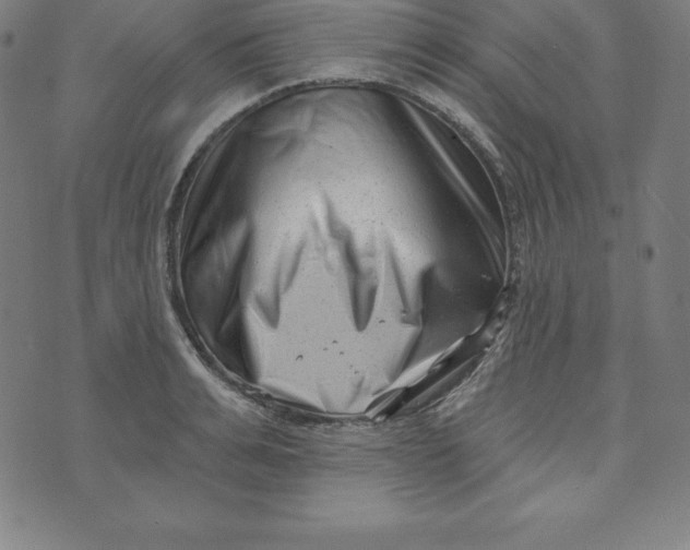 X0000073740991200608241317