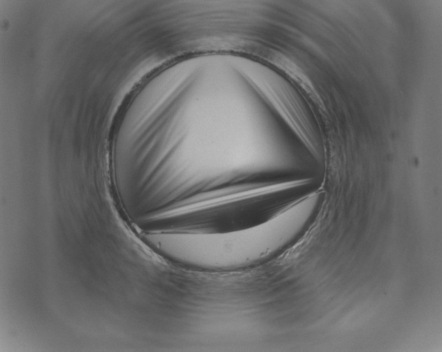 X0000073740992200608241317