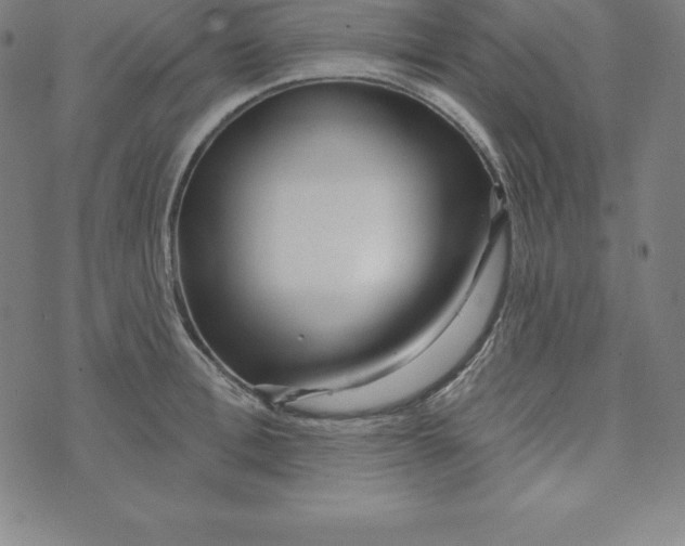 X0000073740996200608241317