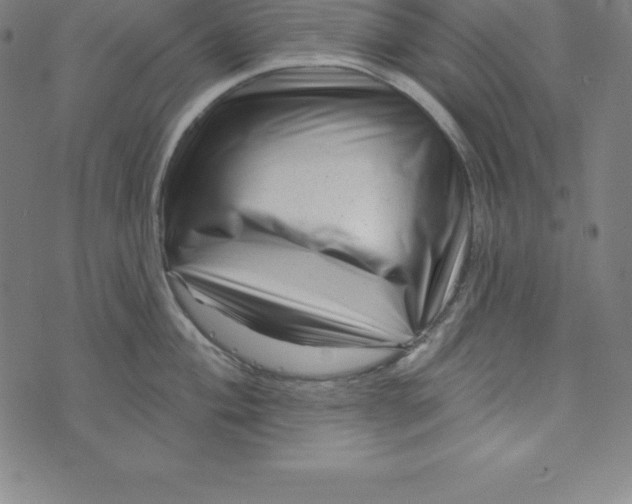 X0000073741004200608241317