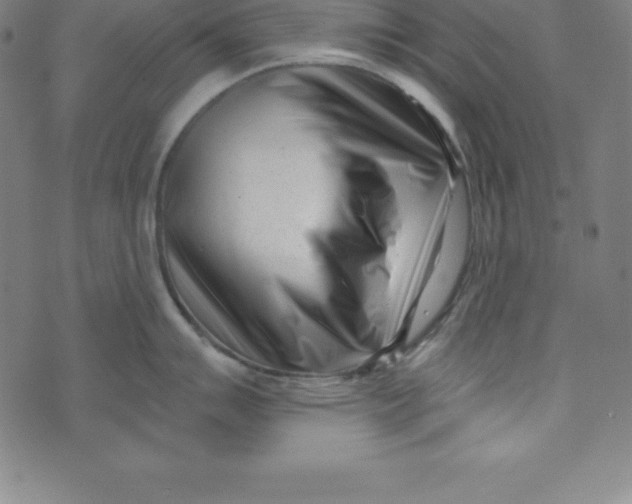 X0000073741007200608241317