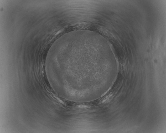 X0000073741010200608241316