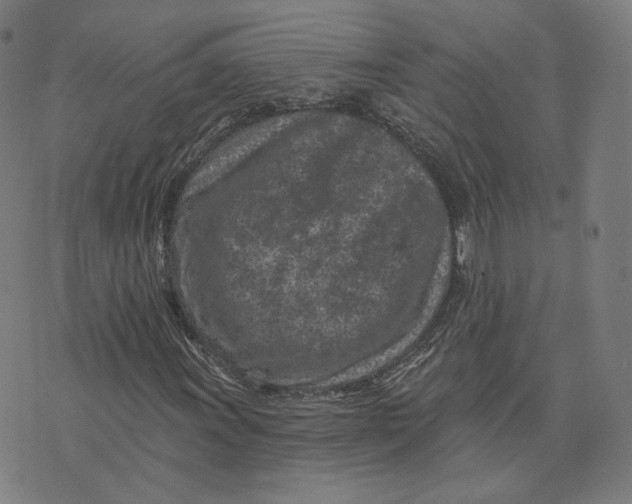 X0000073741011200608241316