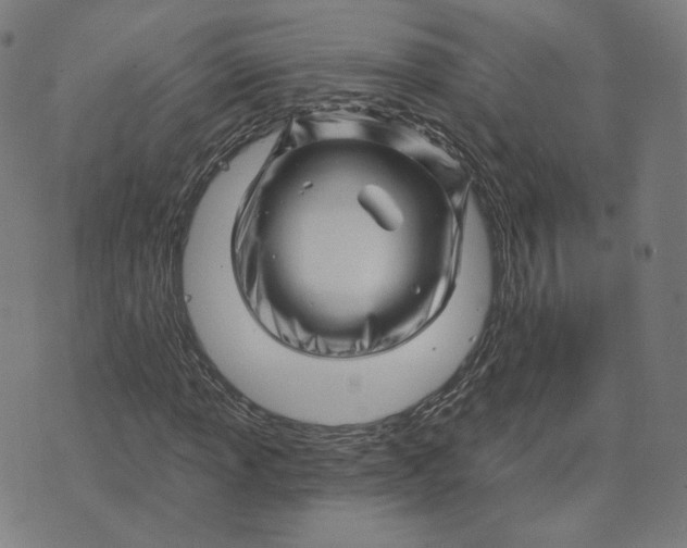 X0000073741013200608241316