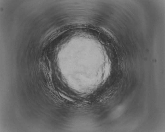 X0000073741015200608241316