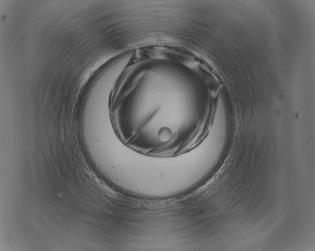 X0000073741018200608241317