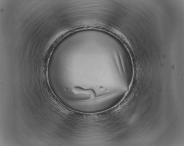 X0000073741019200608241317