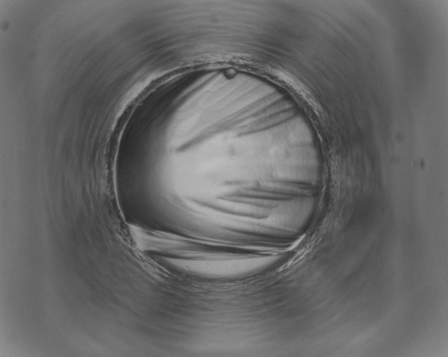 X0000073741023200608241317