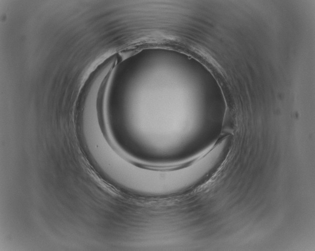 X0000073741026200608241317