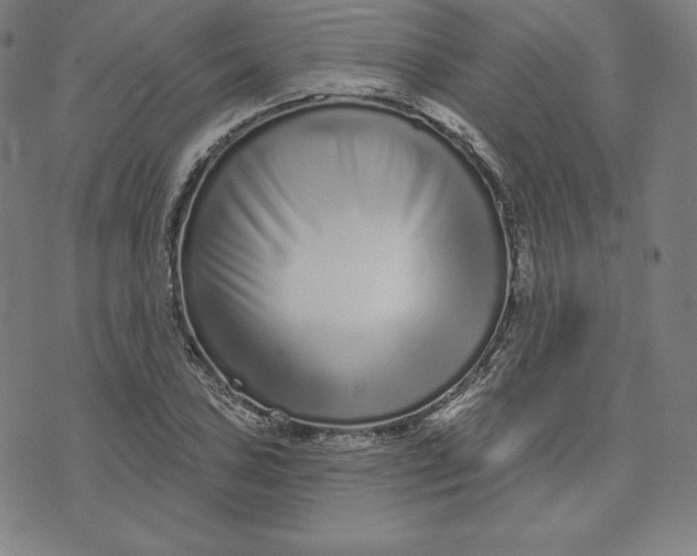 X0000073741027200608241317