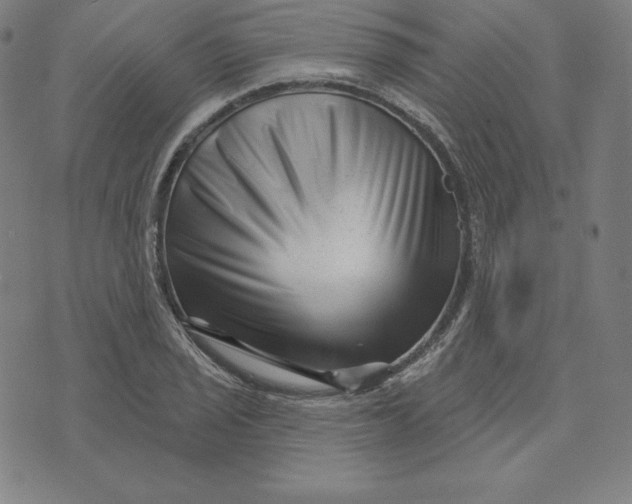 X0000073741029200608241317