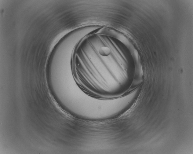 X0000073741030200608241317