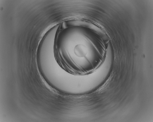 X0000073741034200608241317