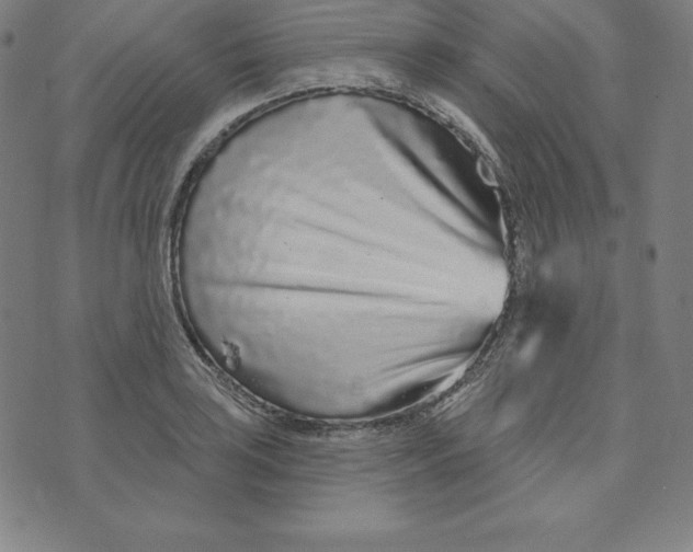 X0000073741035200608241317