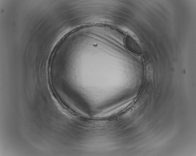 X0000073741039200608241317