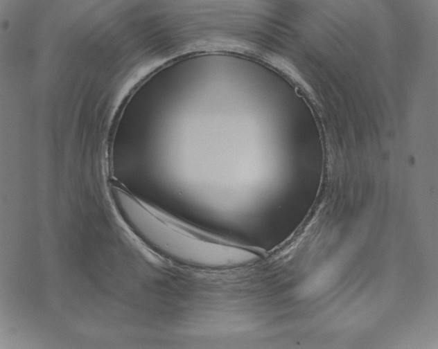 X0000073741040200608241317