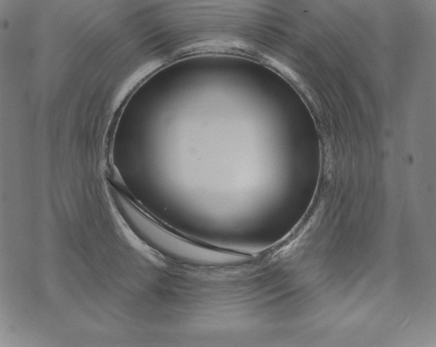 X0000073741042200608241317