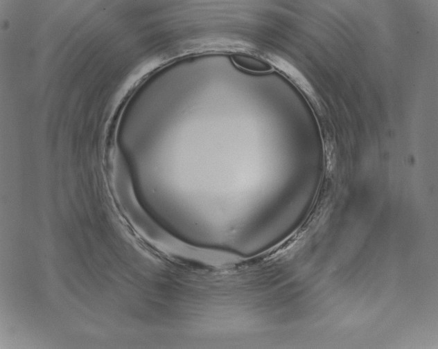 X0000073741043200608241317