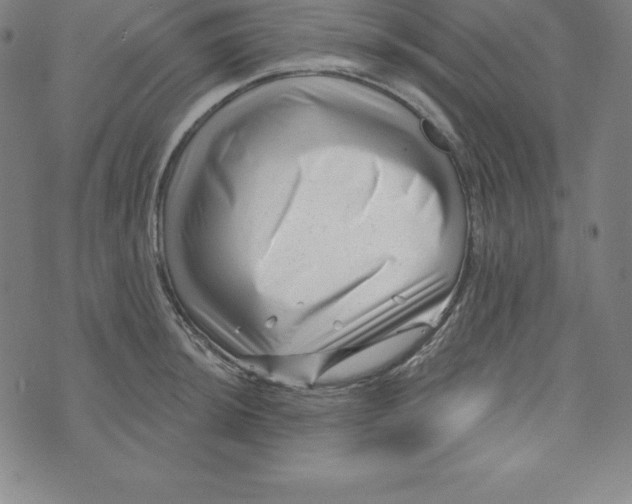 X0000073741044200608241317